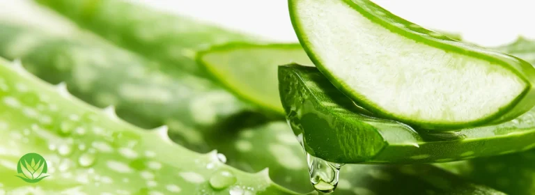 Embrace Nature's Secret Aloe Vera for Your Skin Woes